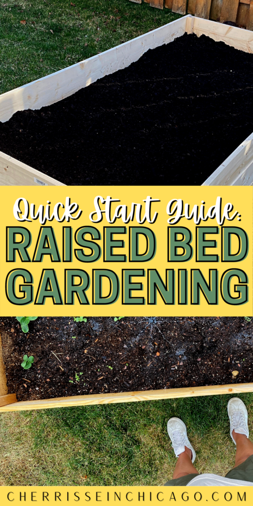 raised garden bed