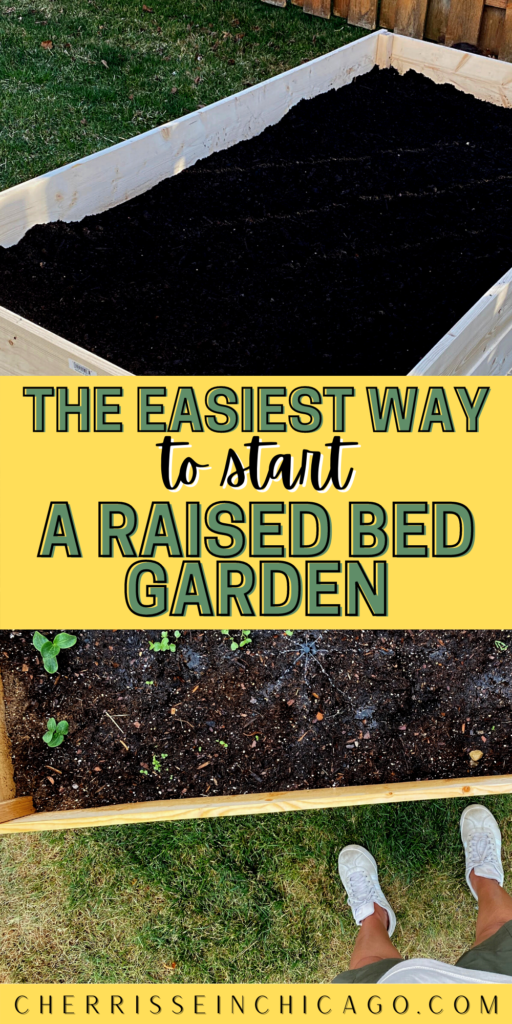raised garden bed