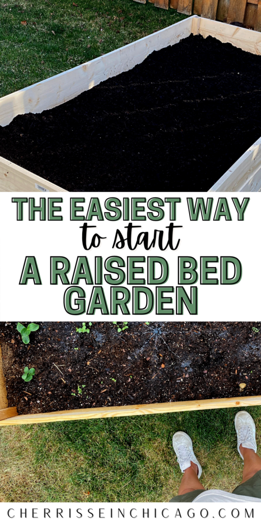 raised garden bed