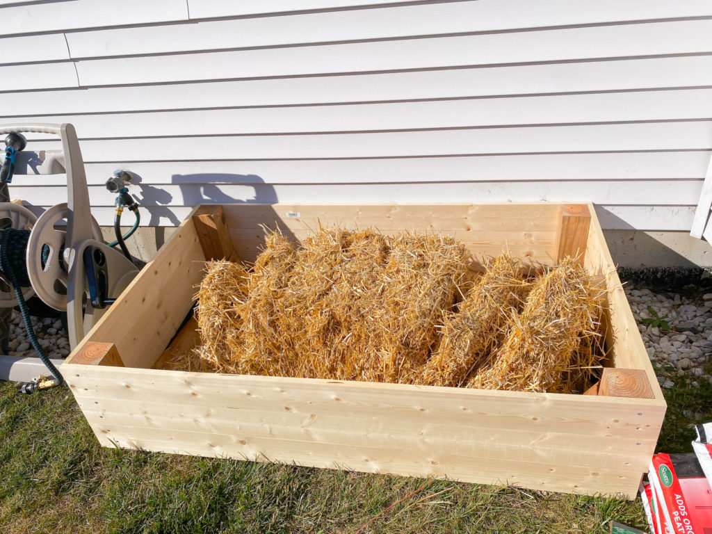 layering garden bed with straw